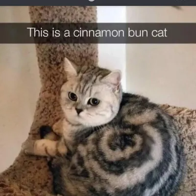 354073894 1030267401689896 8190308515474771839 N 64A3Dfe36Bdca 700