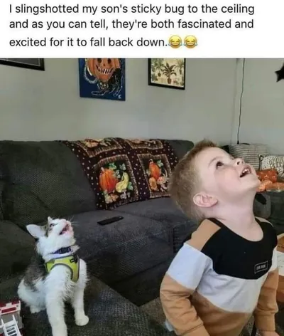 64Ccc160C2C76 Funny Kitty Litterposting Pictures