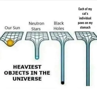 Funny Kitty Litterposting Pictures 64A3Db8Baacb0 700