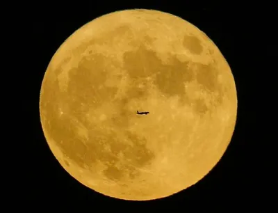 Blue Super Moon Photos From World 64F1A359B5254 700