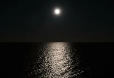 Blue Super Moon Photos From World 64F1A54E255A3 700