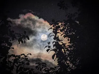 Blue Super Moon Photos From World 64F1Ac7159566 700