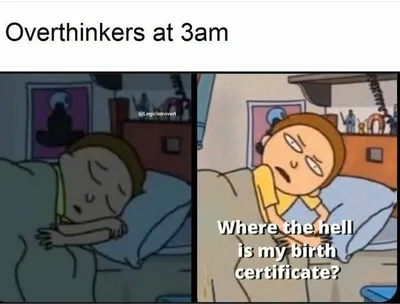 Laughing At My Own Memes 654De9C102D5A 700