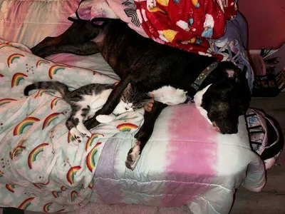 658Bebc5Eab60 Q36At6Gtzr5C1 700