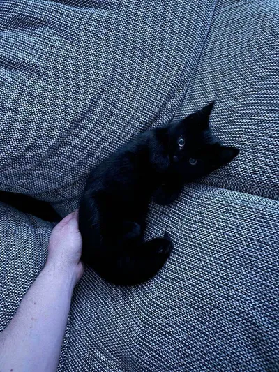 658Bebdc7Ad6E Gnbok5Qeno7C1 Jpeg 700