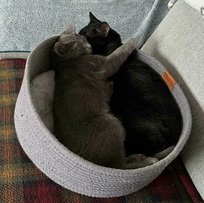 658Bec6292941 F1Qos89Cqz2C1 Jpeg 700