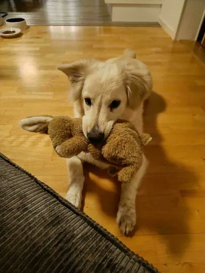 658Bed8A92Ab8 Ow8V6J5Txp5C1 Jpeg 700