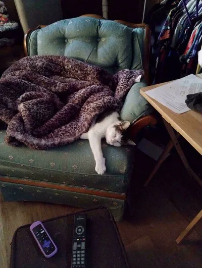 30 Of The Most Heartwarming Pics Of Happily Adopted Pets