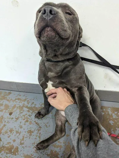 658Bf42Aa38A0 H3Ei6Ekkbo5C1 700