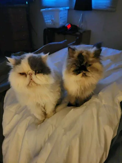 658Bf6Aff132D Eincvavwk75C1 700