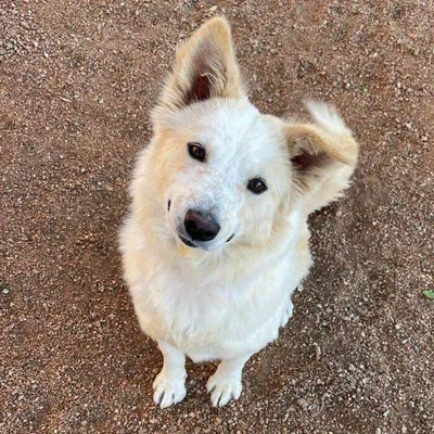 658Bf9Fe5966A Vbd9Rucwa35C1 700