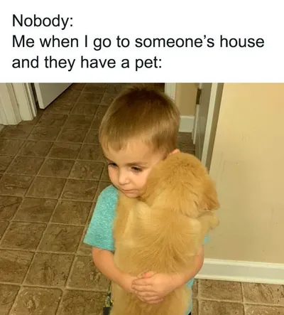 Hilarious Funny Memes 10 65Ccd22Fe70D8 700