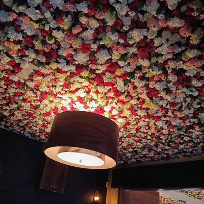 Not Cleanable Things 65Ba51Ba91A2C 880