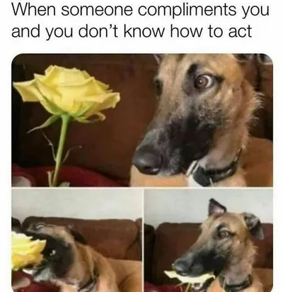 30 Memes Perfect For Those Who Can Barely Keep It Together