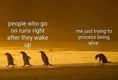 30 Memes Perfect For Those Who Can Barely Keep It Together