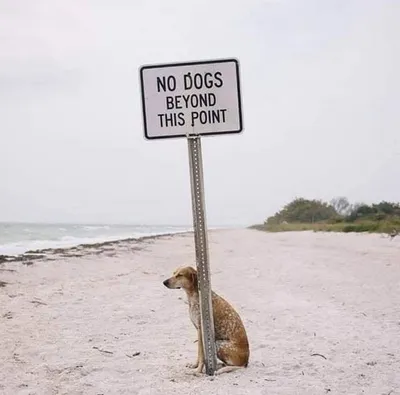 Really Funny Signs 14 65E1Ea87D6E69 700