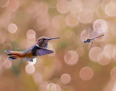 13 66Baa5A24E226 700