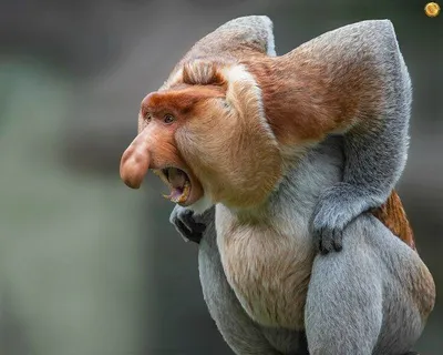 24 66Baa5Dba2765 700