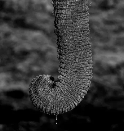 32 Stunning Animal Snapshots From One Eyelands Images Of The Day That Will Brighten Your Day 66Bb02B24D720 700