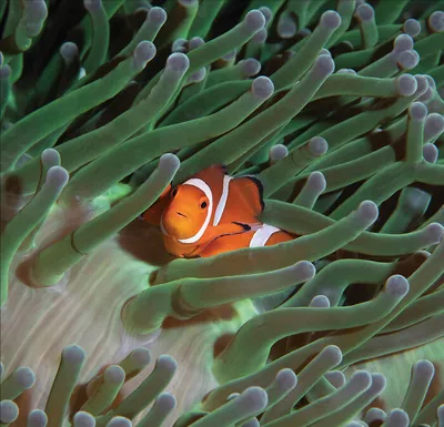 32 Stunning Animal Snapshots From One Eyelands Images Of The Day That Will Brighten Your Day 66Bb0332E8204 700