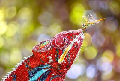 Draft 66Babdbe7F5Fd 700