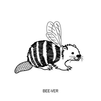 453250380 818550457087833 5999887687712730566 N 6705Cad504Fa0 700