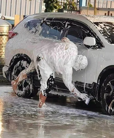 6706405A7Ce24 Funny Random No Context Pics 85