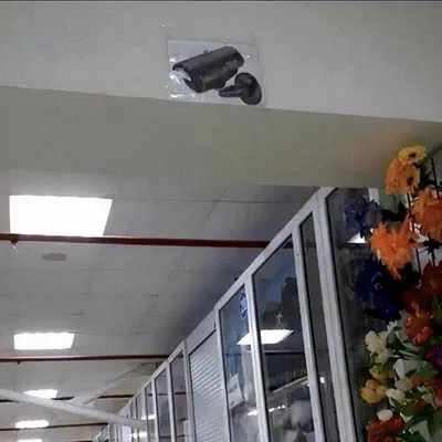 6706409E99Fe4 Funny Random No Context Pics 7