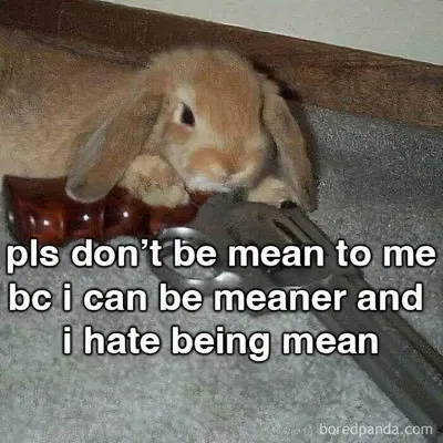 Clipimage 66F413F29Ab6B 700