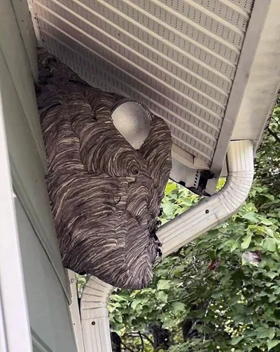 People Having Really Bad Day 3 66Fe8Dc1Dcbd1 700