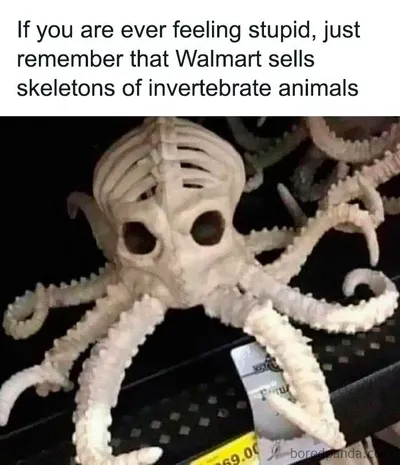 35 Clever Memes Perfect For Those Who Appreciate Intellectual Humour