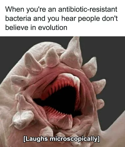 35 Clever Memes Perfect For Those Who Appreciate Intellectual Humour