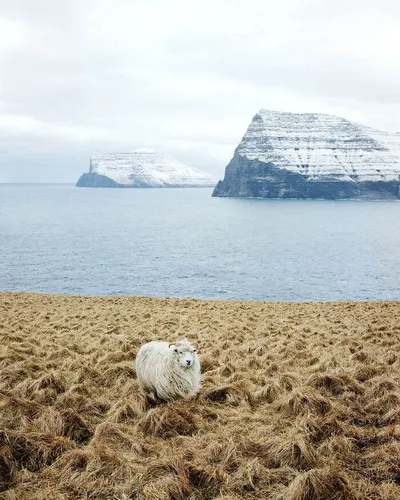 35 Breathtaking Photos From The 2024 Ipa By Winners And Finalists Worldwide