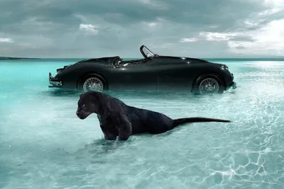 Masters Of The Lens Meet The Winners Of The 2024 International Photography Awards 67D165D4Dbeca 700