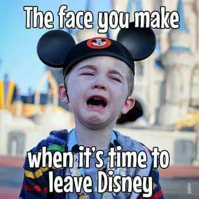 24 Disney Memes Funny Enough For Disney Park Fans