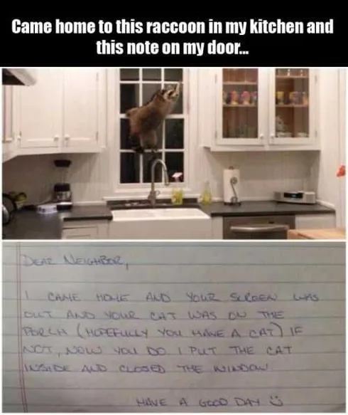 Raccoon In My Kitchen And This Note On The Door