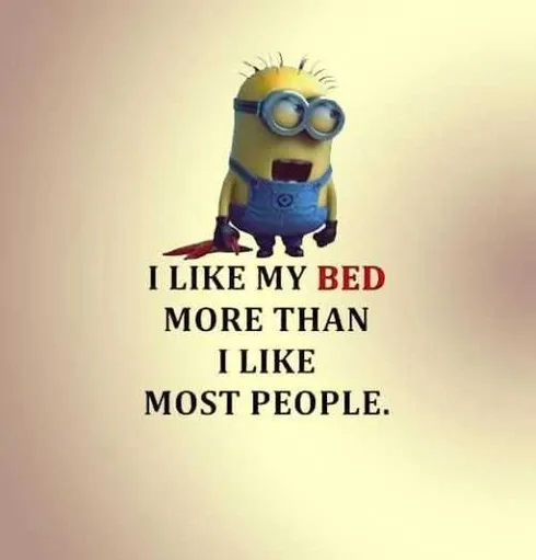 Funny Minions Quotes 404