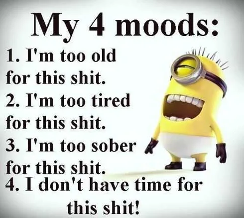 Funny Minions Quotes 412