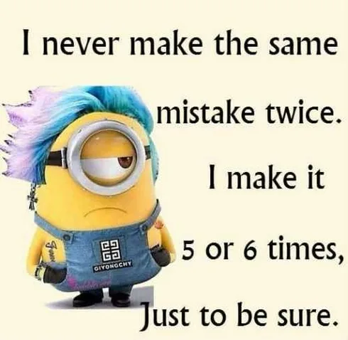 Funny Minions Quotes 413