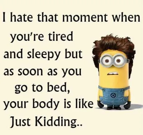 Funny Minions Quotes 421
