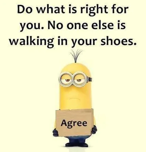 The Best Minion Pictures Of The Week 033