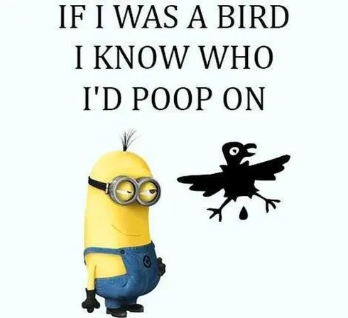 The Best Minion Pictures Of The Week 041
