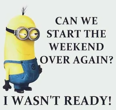 The Best Minion Pictures Of The Week 060