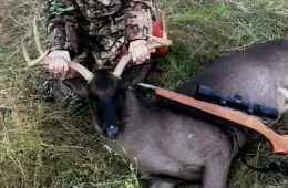 A Teen In Texas Harvests An Ultra Rare All Black Whitetail Buck Pictures Featured