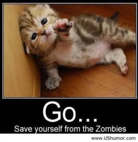 Funny Animal Pics That Will Make You Smile 5009