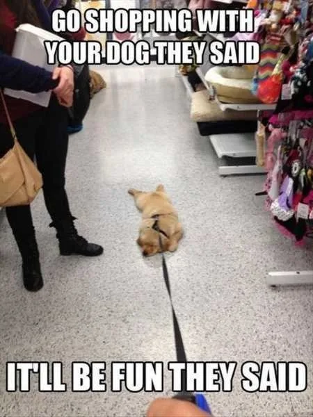 Funny Animal Pics That Will Make You Smile 5012