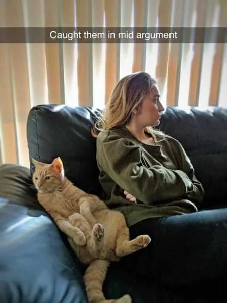 Funny Animal Pics That Will Make You Smile 5015