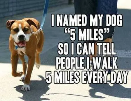 Funny Animal Pics That Will Make You Smile 5022