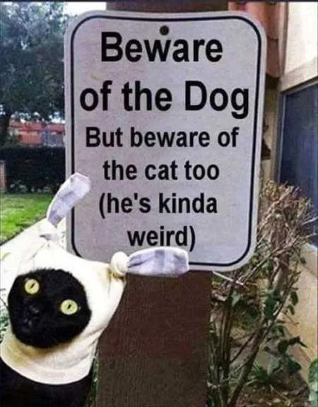 Funny Animal Pictures Youre Going To Love 010