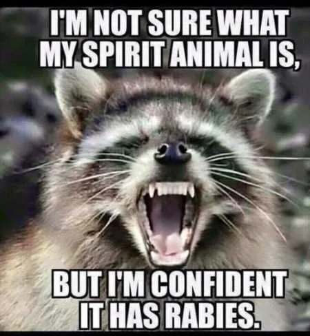 Funny Animal Pictures Youre Going To Love 015